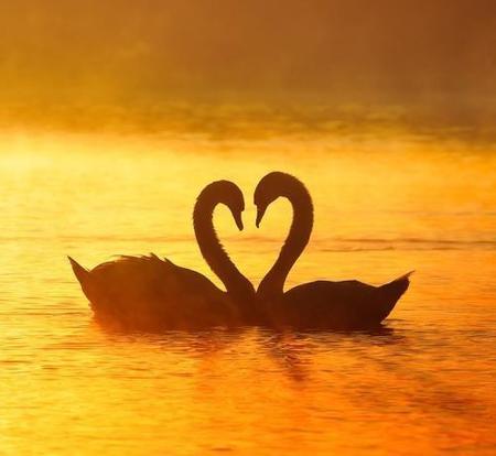 在爱里你学会了什么易烊千玺