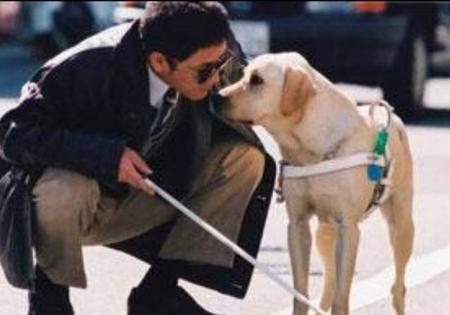 为什么不能跟狗一起睡觉(经常和狗狗睡在一起有没有坏处)