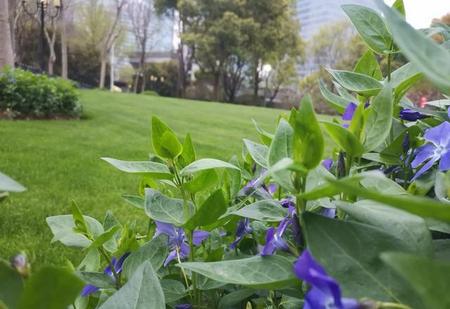 欠揍的人什么样子