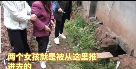 两孙女被奶奶推拉进粪坑溺亡