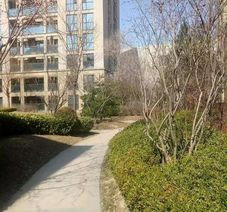 五年了还是忘不了一个人(心里的酸楚要去遗忘)