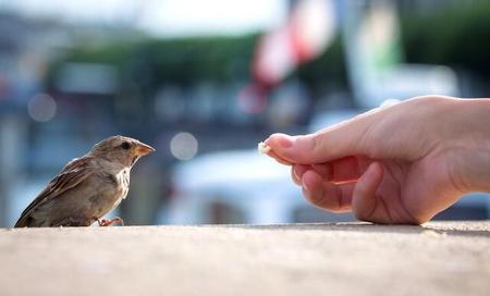 遇上困难真正帮你的人