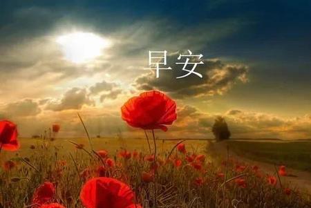 早安情话大全浪漫情话