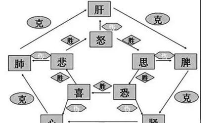 人为什么要经历七情六欲(为什么人要有七情六欲)