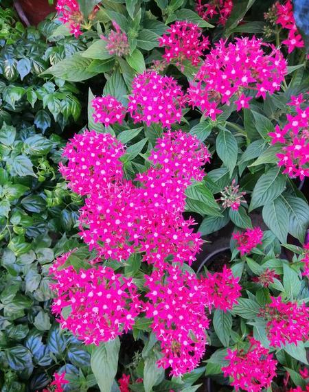 最后一次发自内心的笑是什么时候