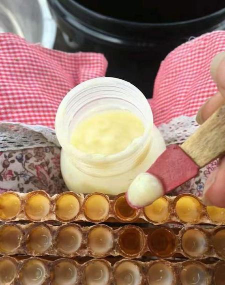 蜂王浆保质期最长时间是多少(蜂王浆有保质期吗 保质期多久)