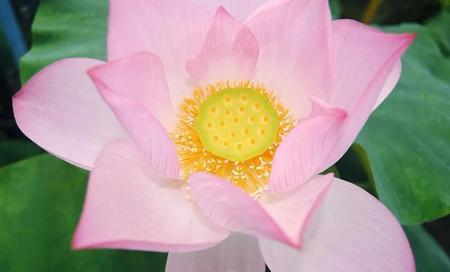 你们冷战最长时间是多久