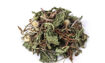 喝蒲公英消炎吗(泡水喝什么补肾壮阳最好)