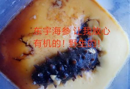 哪些人不适宜吃海参肽(海参不适宜哪些人群食用)