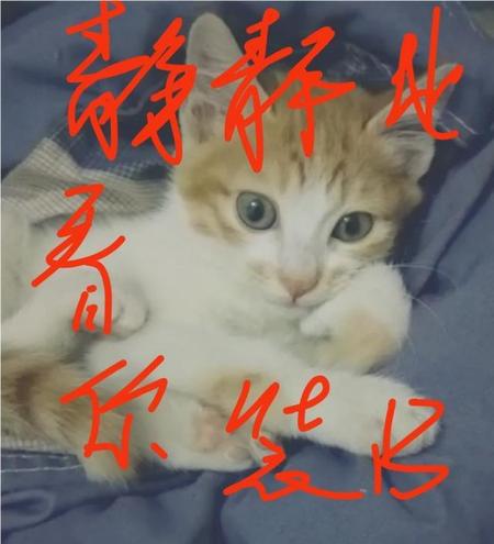 神转折的感人故事