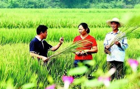 人生在世不过数十载(人生在世,不过短短几十载)