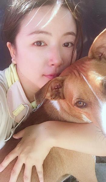 以前对你的喜欢是想见你