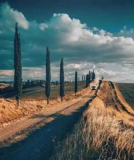 人死后埋葬多久会腐烂(死人土葬后多久腐烂成骨头)