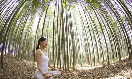 竹子在中国传统文化中的寓意(竹子在中国文化中的象征意义)