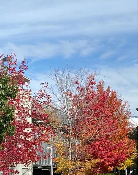 为什么现在那么多人得肿瘤(为什么长肿瘤的人越来越多)