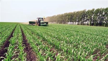 母在不庆生父在不留须是什么意思