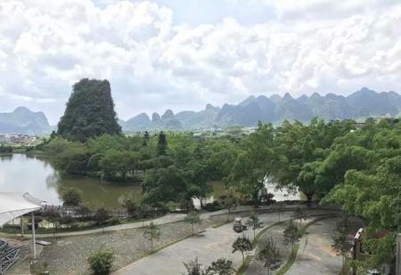 青春后悔的句子(乐器能自学吗)