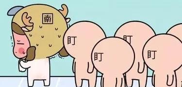 北方人对南方人的误解