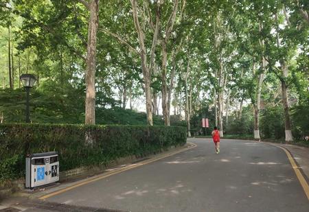 什么品牌的跑鞋跑步时比较舒服(什么牌子跑步鞋穿着最舒服)