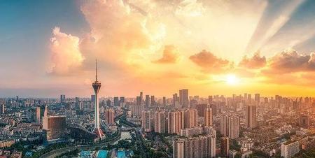 留在一线城市还是回老家发展(活成了自己想要的样子但一点也不开心)