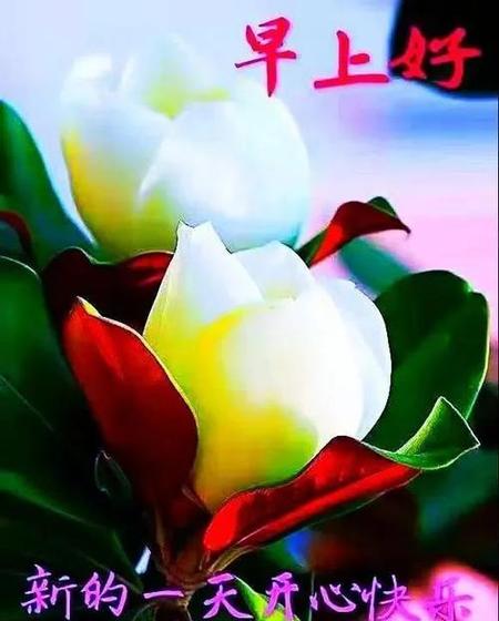 没房没车没彩礼的男人能嫁吗