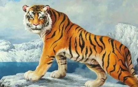 最会花钱的生肖(十二生肖月光族)