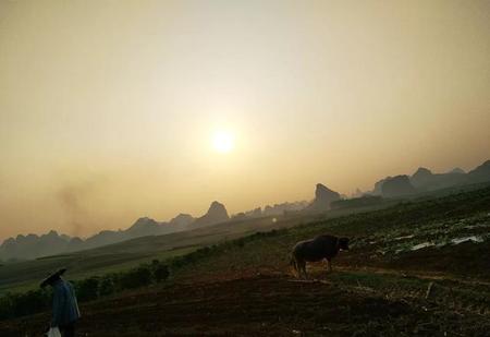 为什么牛看见红色就会发疯(红色会让牛发狂吗)