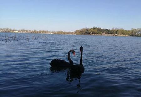 初恋的回忆(像初恋般动心)