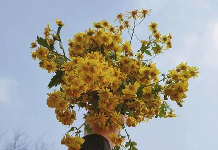 我不想留下遗憾什么意思(我不想留遗憾英文翻译)