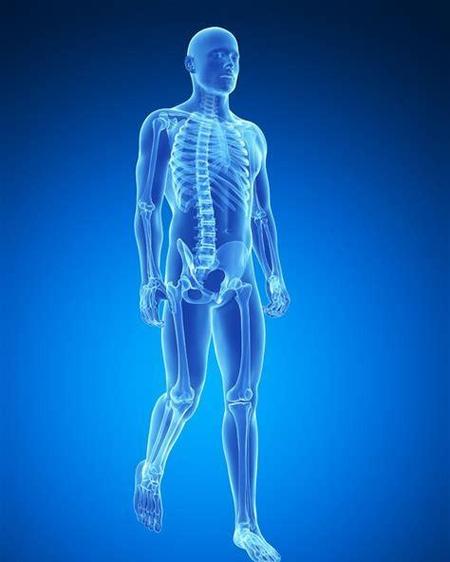 人体最硬的部位是哪里呀?(人体骨骼最硬的是哪里)