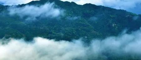 想忘了一个人忘不了怎么办(想忘记又忘不掉怎么办)