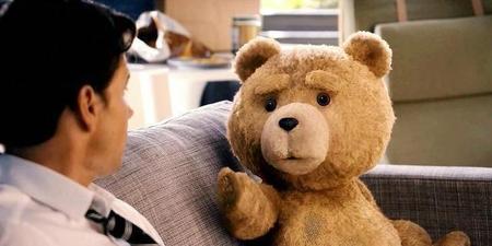 泰迪熊电影讲的是什么(泰迪熊电影影评)