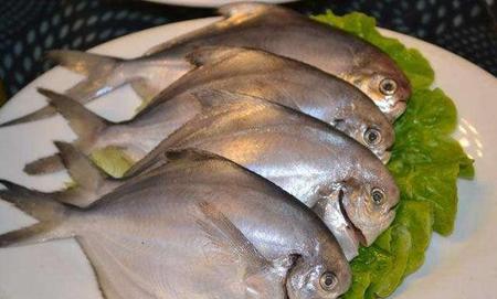 鲳鱼去腥的方法