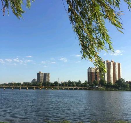 卵巢癌3c治愈了(卵巢癌3c期治愈率多少)