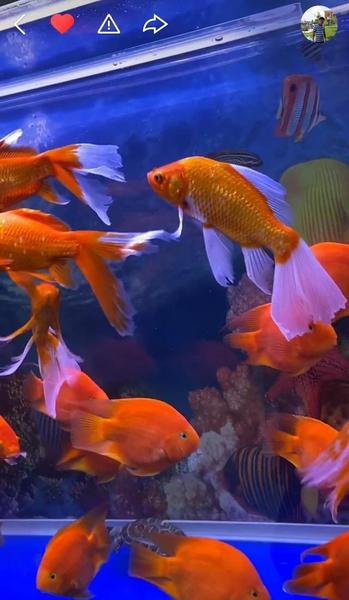 男人和女人之间的真爱是什么?(男人跟女人的感情的区别)