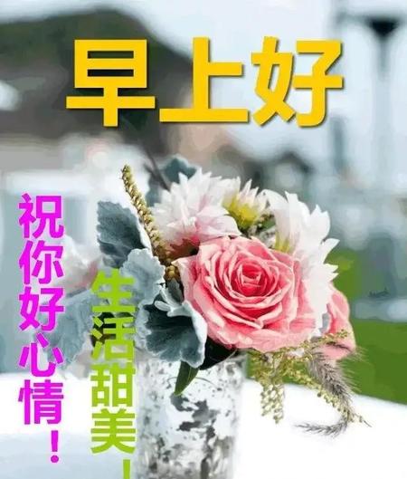 什么是爱人的经典语录(爱人的经典语录)