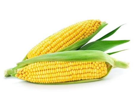 中午一根玉米和一个鸡蛋能减肥吗(早上一根玉米一个鸡蛋能减肥吗)