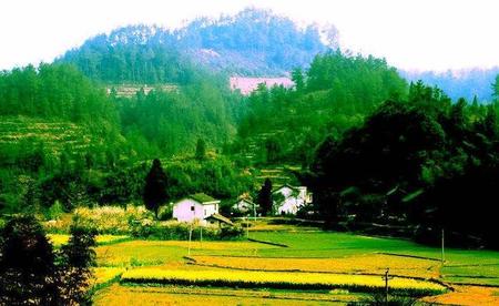 关于农家场景的诗句(描写农家田园风光的诗句)