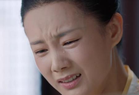 鹤唳华亭编剧是谁(鹤唳华亭太子妃扮演者)