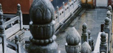 为什么明明不爱却忘不掉