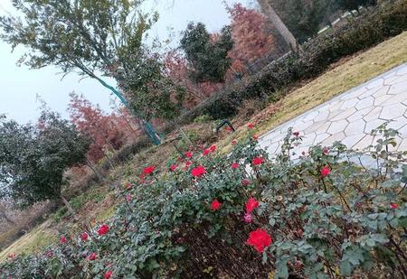 有身价的人是什么意思