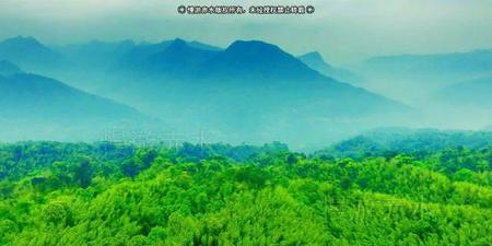 进监狱的人都干些什么(服刑犯人在监狱干什么)