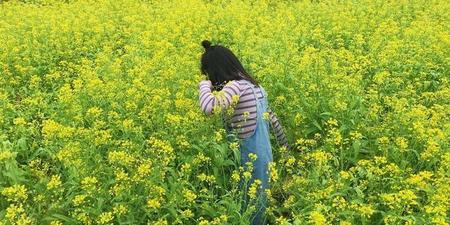 所谓万花丛中过片叶不沾身(我能控制修为)