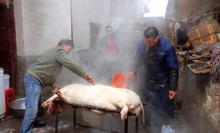 杀猪匠寿命不长(杀生太多会有什么报应)