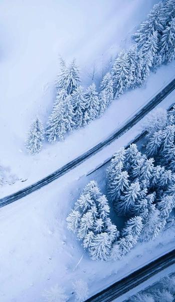 东北人认为的南方(南方人眼中的东北)