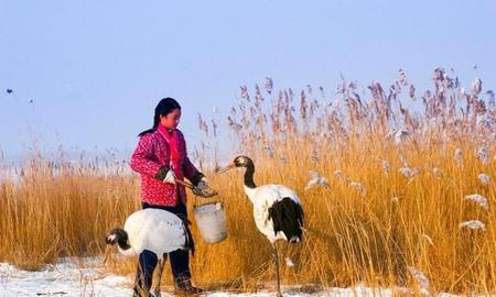 以前听歌现在听的是歌词(我听红色歌曲如什么什么)