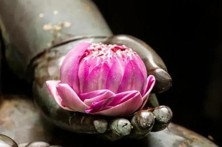 冤冤相报何时了得饶人处且饶人