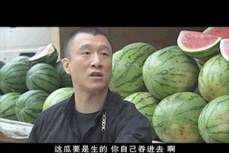 征服里面的演员(征服的演员表)