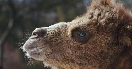 新世界的结局是什么样的(新世界沈世昌最后结局)