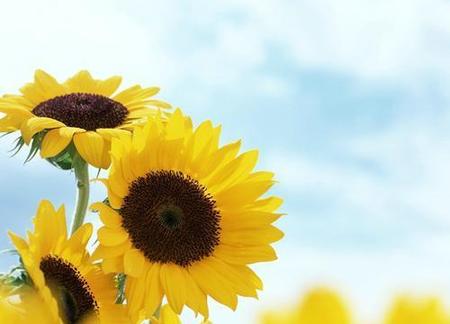 红颜知己分手的心情说说(红颜知己是不是情人关系)